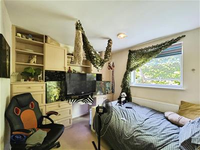 Picture 11